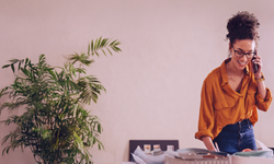 Cicada Blog Post Image 1